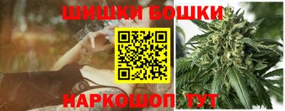 кокс Кингисепп