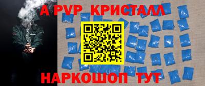 кокс Кингисепп