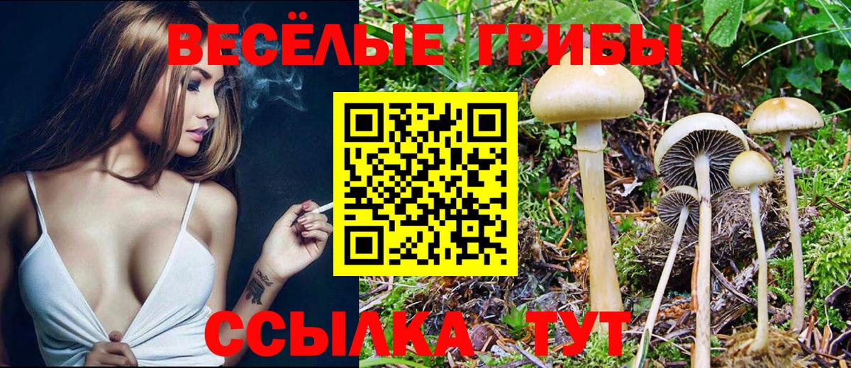 Галлюциногенные грибы ЛСД Балтийск