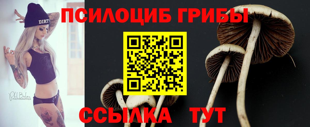Псилоцибиновые грибы Psilocybine cubensis  Вход с VPN  Псилоцибиновые грибы мицелий  наркотики  Балтийск 